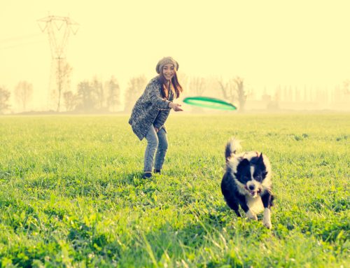 Unleash the Adventure: Staying Active with Your Dog